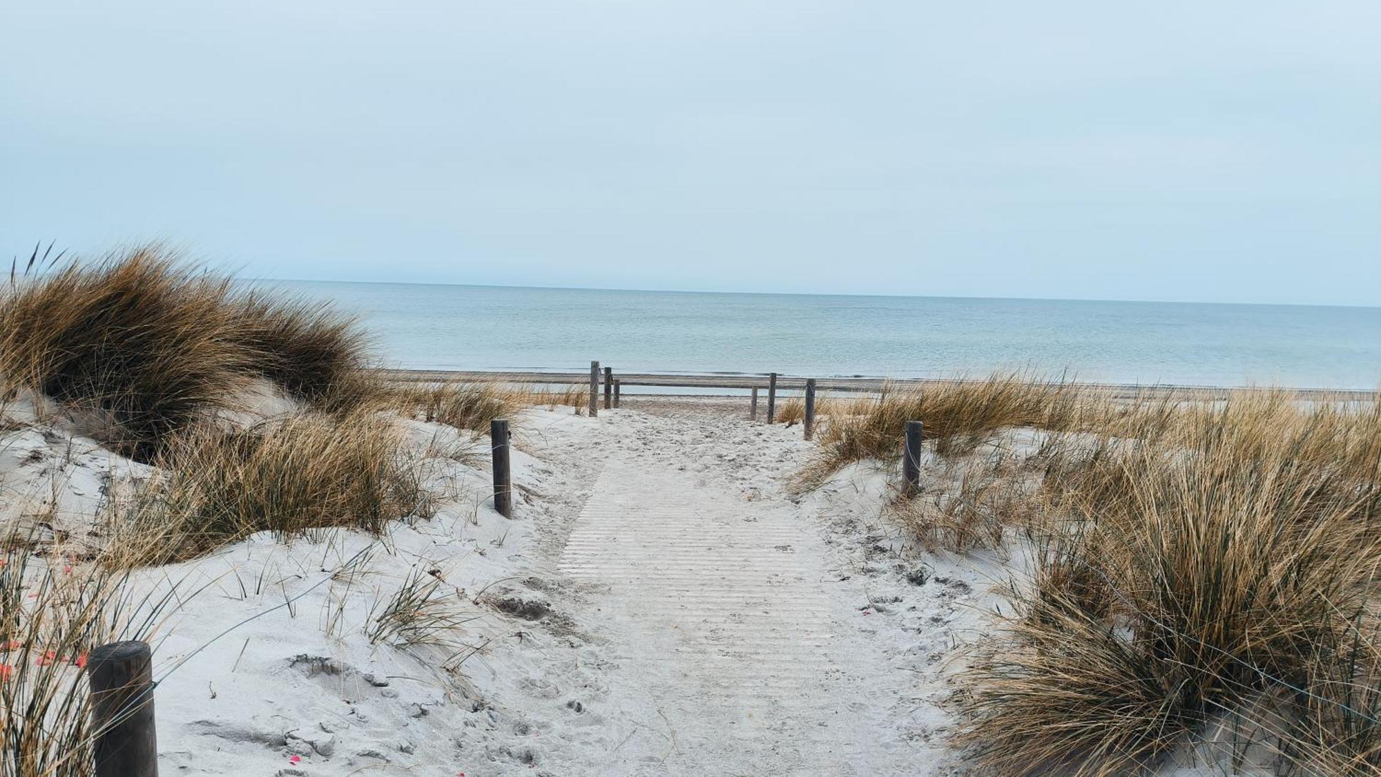 Ferienwohnung Ostseestern Rerik Mit Sauna ภายนอก รูปภาพ